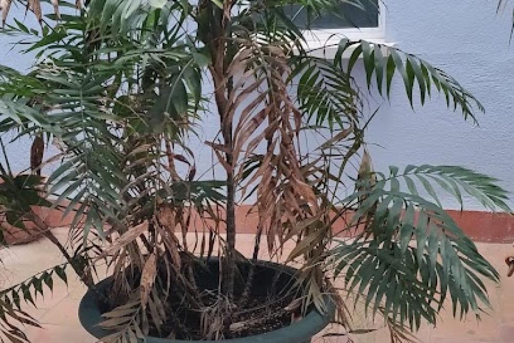 Oficina del SEPE Benalmádena